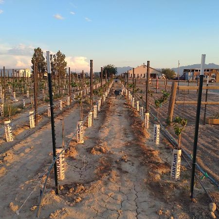 Black Star Ranch Vineyard 패럼프 외부 사진